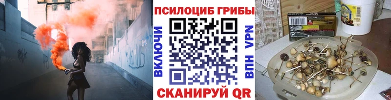 Псилоцибиновые грибы MAGIC MUSHROOMS  Боготол 